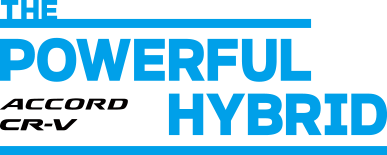 THE POWERFUL HYBRID